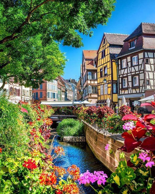 Chez Alice Apartamento Colmar Exterior foto